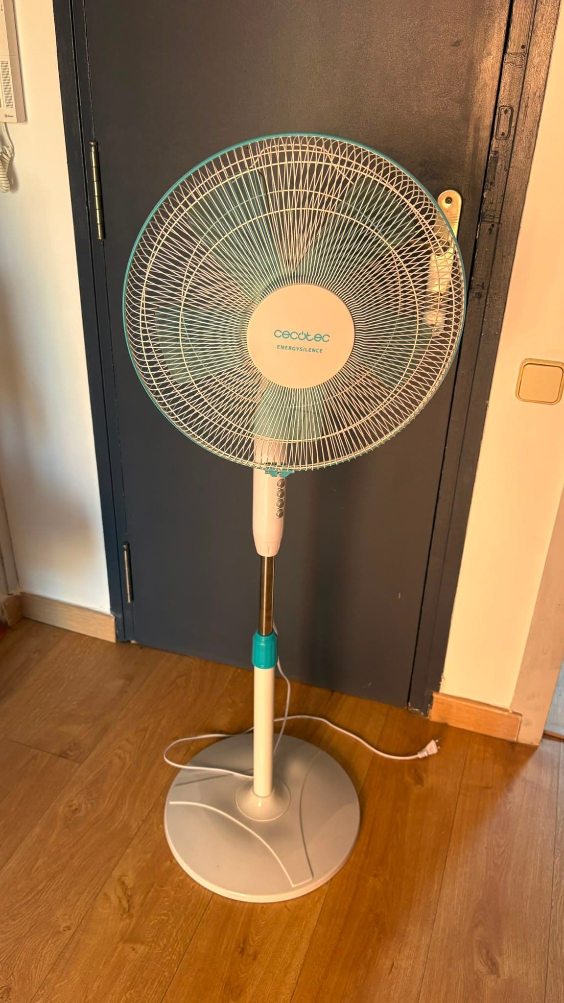 Fan